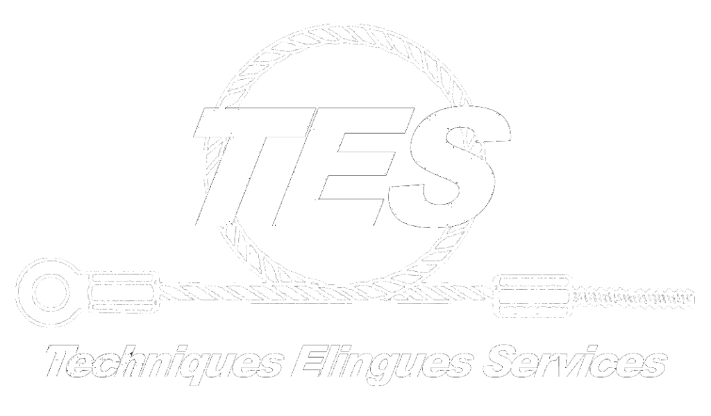 TES France Techniques Elingues Services